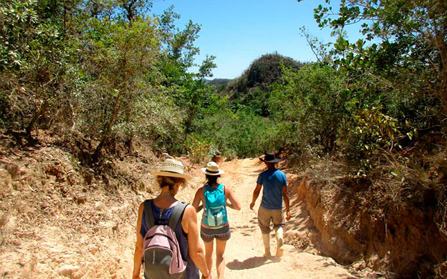 Caminatas por el valle. Viñales, Pinar del Río, Cuba